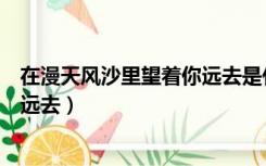 在漫天风沙里望着你远去是什么意思（在漫天风沙里望着你远去）