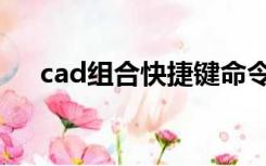 cad组合快捷键命令（cad组合快捷键）