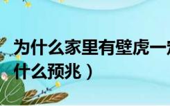 为什么家里有壁虎一定要打死（打死壁虎会有什么预兆）