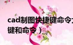 cad制图快捷键命令大全表格（cad制图快捷键和命令）