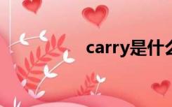 carry是什么意思（ca）