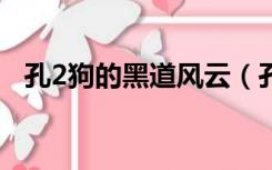 孔2狗的黑道风云（孔二狗黑道风云20年）