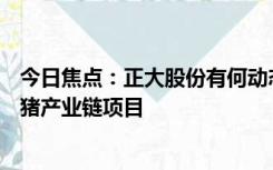 今日焦点：正大股份有何动态 IPO终止 拟募资150亿用于生猪产业链项目