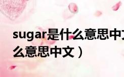 sugar是什么意思中文怎么读音（sugar是什么意思中文）