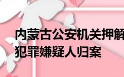 内蒙古公安机关押解40名缅北电信网络诈骗犯罪嫌疑人归案