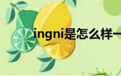 ingni是怎么样一个档次（ingni）