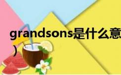 grandsons是什么意思（grandson什么意思）