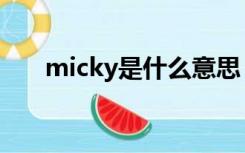 micky是什么意思（micky什么意思）