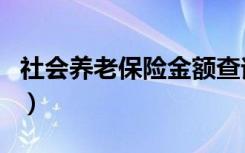 社会养老保险金额查询（社会养老保险金查询）