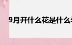 9月开什么花是什么季节（9月开什么花）