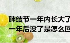 肺结节一年内长大了6mm（6mm肺部结节一年后没了是怎么回事）