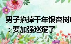 男子掐掉千年银杏树叶博女伴一笑，景区回应：要加强巡逻了