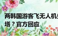 两韩国游客飞无人机失控撞上国宝级文物文峰塔？官方回应