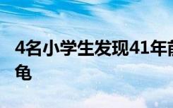 4名小学生发现41年前曾灭绝的甲虫阳彩臂金龟