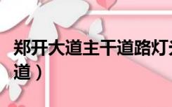 郑开大道主干道路灯光源为（路灯下的郑开大道）