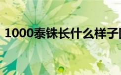 1000泰铢长什么样子图片（1000泰铢图片）