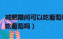 减肥期间可以吃葡萄吗会胖吗（减肥期间可以吃葡萄吗）