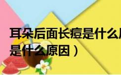 耳朵后面长痘是什么原因引起的（耳垂长痘痘是什么原因）