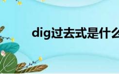 dig过去式是什么写（dig过去式）