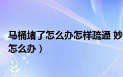 马桶堵了怎么办怎样疏通 妙招马桶不吸水怎么办（厕所堵了怎么办）