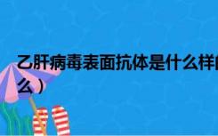 乙肝病毒表面抗体是什么样的标准（乙肝病毒表面抗体是什么）