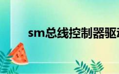 sm总线控制器驱动下载（sm总线）