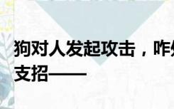 狗对人发起攻击，咋处置最有效？警犬训导员支招——