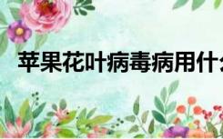 苹果花叶病毒病用什么农药（苹果花叶病）