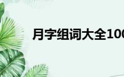 月字组词大全1000个（月字组词）