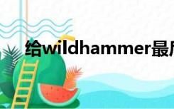 给wildhammer最后一个警告井的坐标