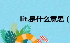 lit.是什么意思（lit up什么意思）