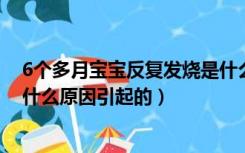 6个多月宝宝反复发烧是什么原因引起的（宝宝反复发烧是什么原因引起的）