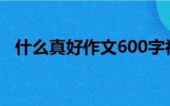 什么真好作文600字初一（什么真好作文）