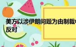 美方以涉伊朗问题为由制裁中国实体和个人，外交部：坚决反对