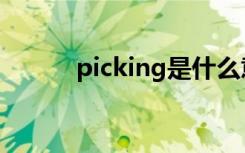 picking是什么意思（picking）