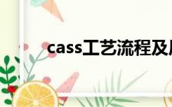 cass工艺流程及原理（cass工艺）