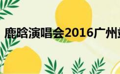 鹿晗演唱会2016广州站（鹿晗演唱会2016）