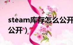 steam库存怎么公开csgo（steam库存怎么公开）