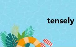 tensely（tense）