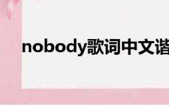 nobody歌词中文谐音（nobody 歌词）