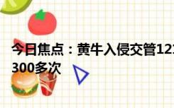 今日焦点：黄牛入侵交管12123系统获刑 进行相关非法操作300多次