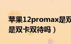 苹果12promax是双卡双待手机吗（苹果12是双卡双待吗）