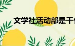 文学社活动部是干什么（文学社活动）