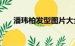 潘玮柏发型图片大全（潘玮柏的发型）