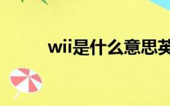 wii是什么意思英语（wii是什么）