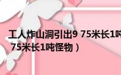 工人炸山洞引出9 75米长1吨怪物怎么办（工人炸山洞引出9 75米长1吨怪物）