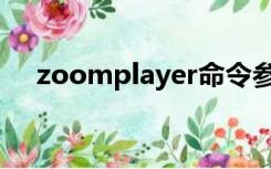 zoomplayer命令参数（zoomplayer）