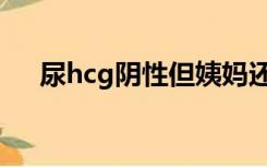 尿hcg阴性但姨妈还没来（尿hcg阴性）