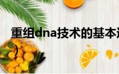 重组dna技术的基本过程包括（重组dna技术）