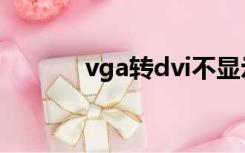 vga转dvi不显示（vga转dvi）